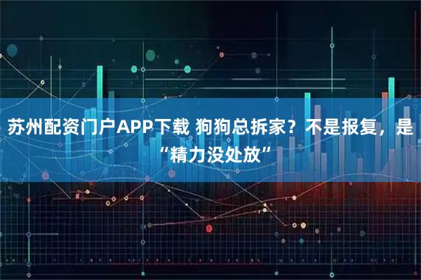 苏州配资门户APP下载 狗狗总拆家？不是报复，是 “精力没处放”