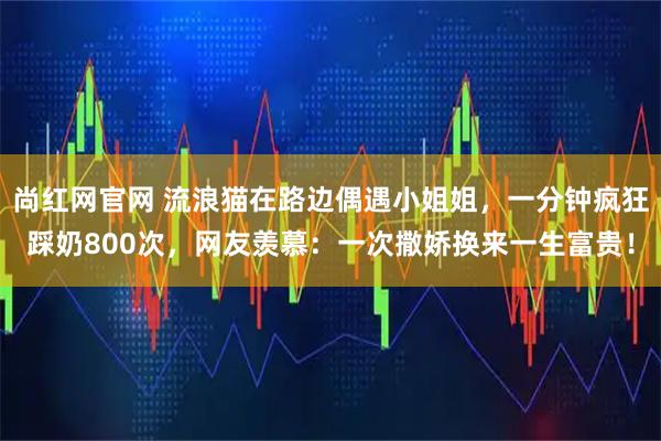 尚红网官网 流浪猫在路边偶遇小姐姐，一分钟疯狂踩奶800次，网友羡慕：一次撒娇换来一生富贵！