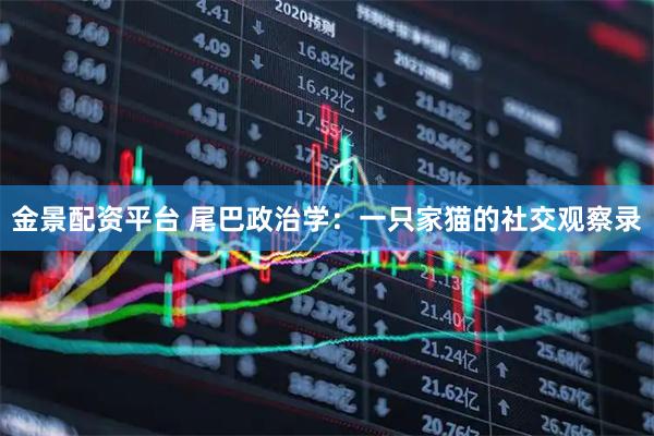 金景配资平台 尾巴政治学：一只家猫的社交观察录