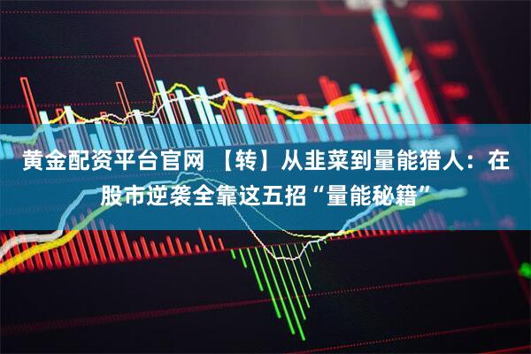 黄金配资平台官网 【转】从韭菜到量能猎人：在股市逆袭全靠这五招“量能秘籍”